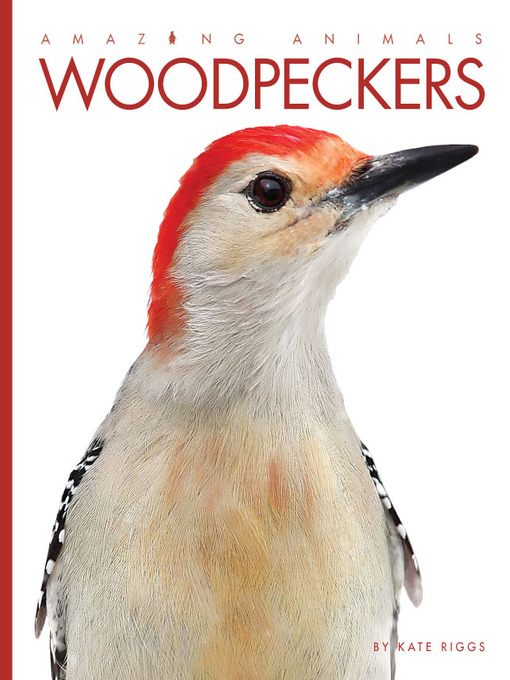 Title details for Woodpeckers by Kate Riggs - Wait list